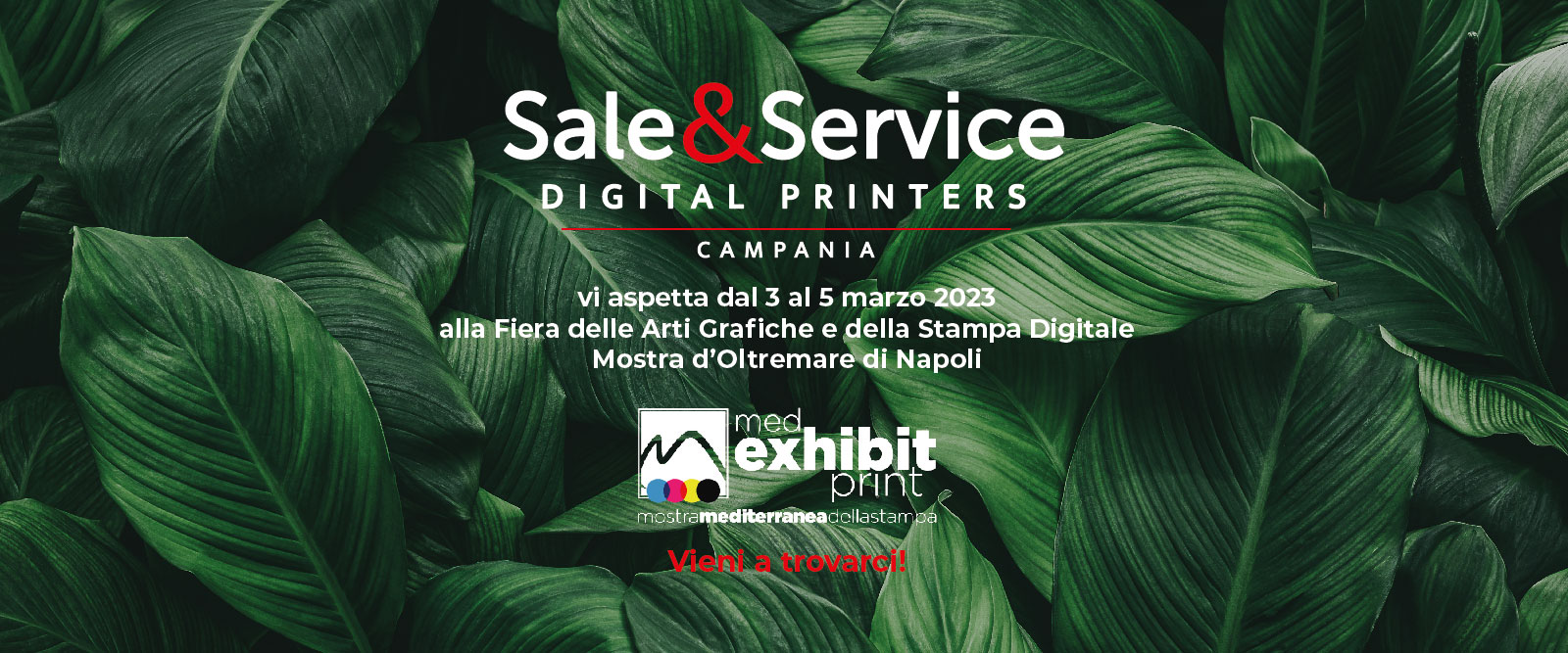 La Sale&Service compie 30 anni!
